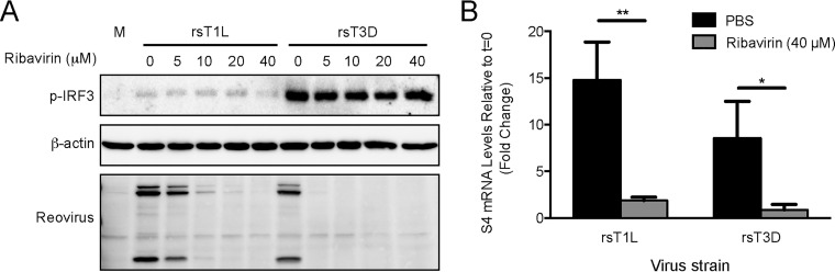 FIG 5