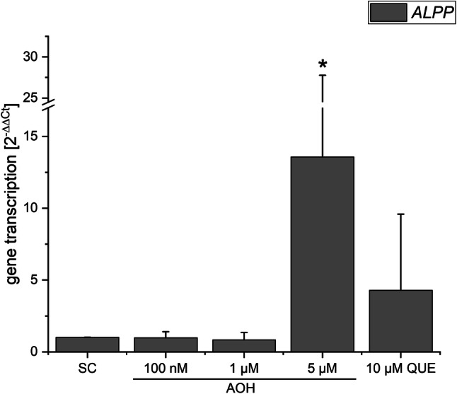 Fig. 7