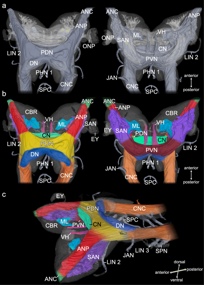 Fig. 12