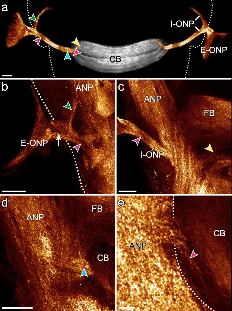 Fig. 10
