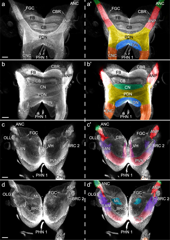 Fig. 11