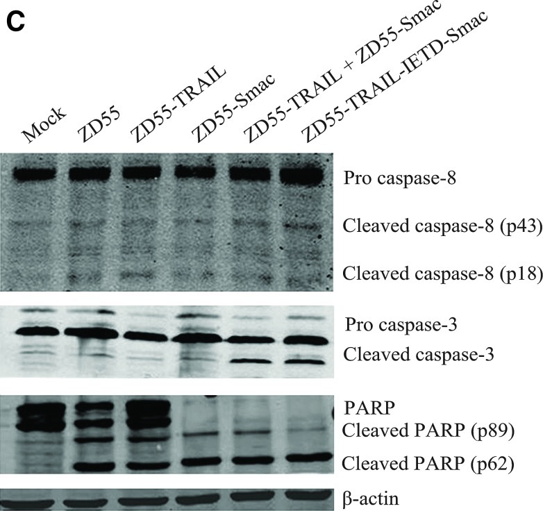 FIG. 5.