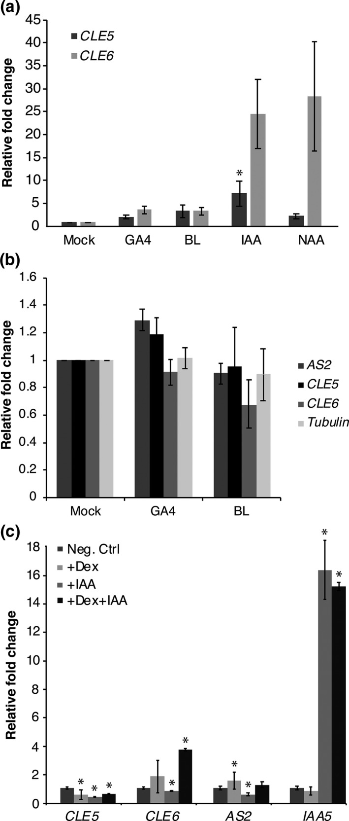 Figure 5