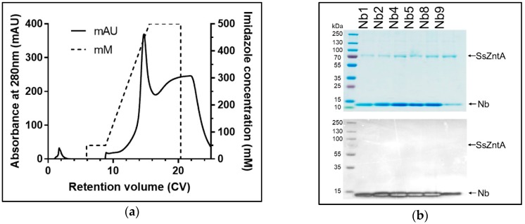 Figure 9