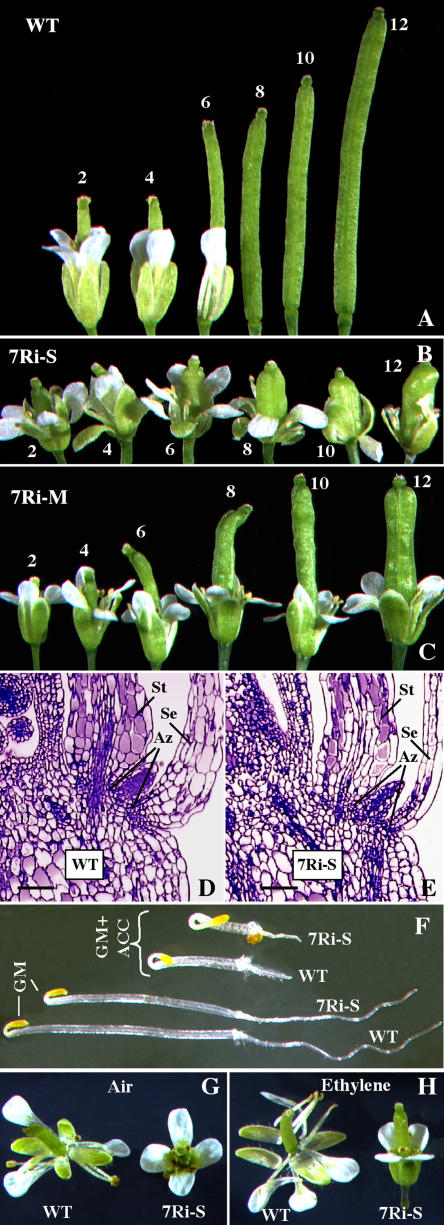 Figure 10.