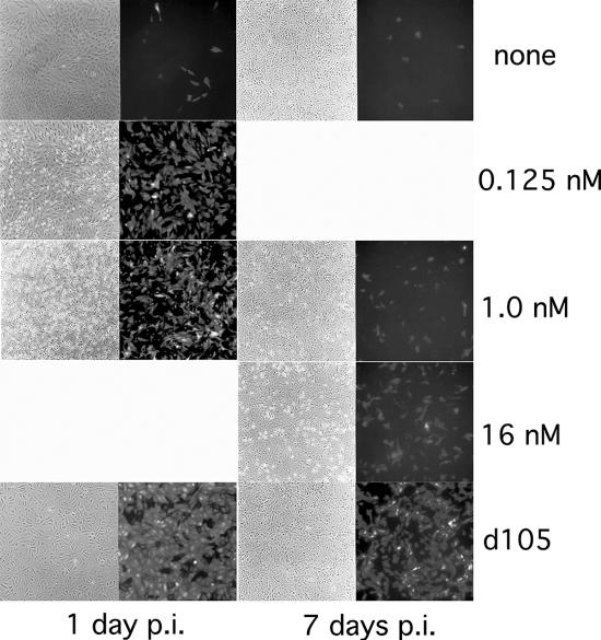 FIG. 4.