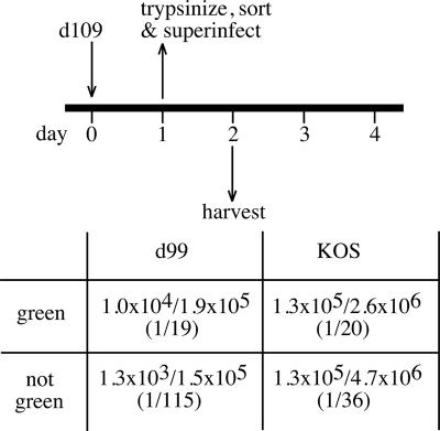 FIG. 8.