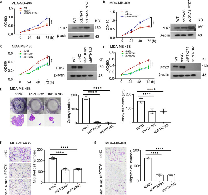 Figure 6