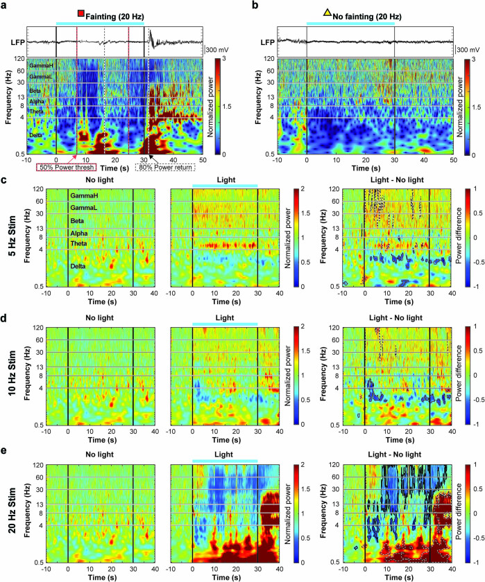 Extended Data Fig. 6