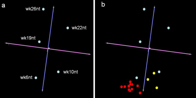 Fig. 2