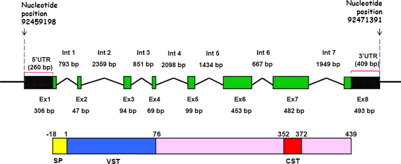 Fig. 1