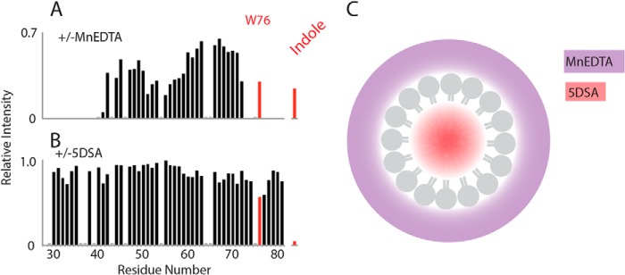 FIGURE 7.