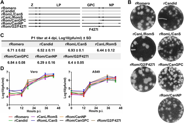 FIG 1