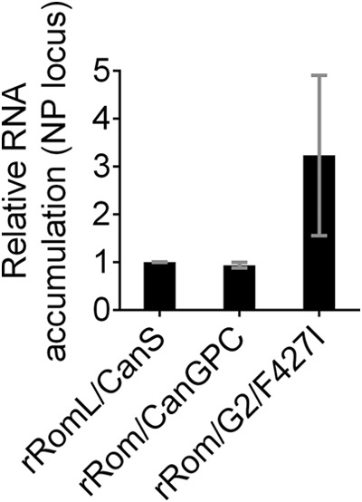 FIG 6