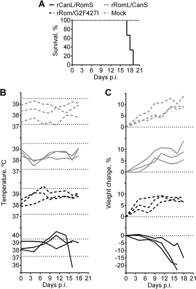 FIG 2