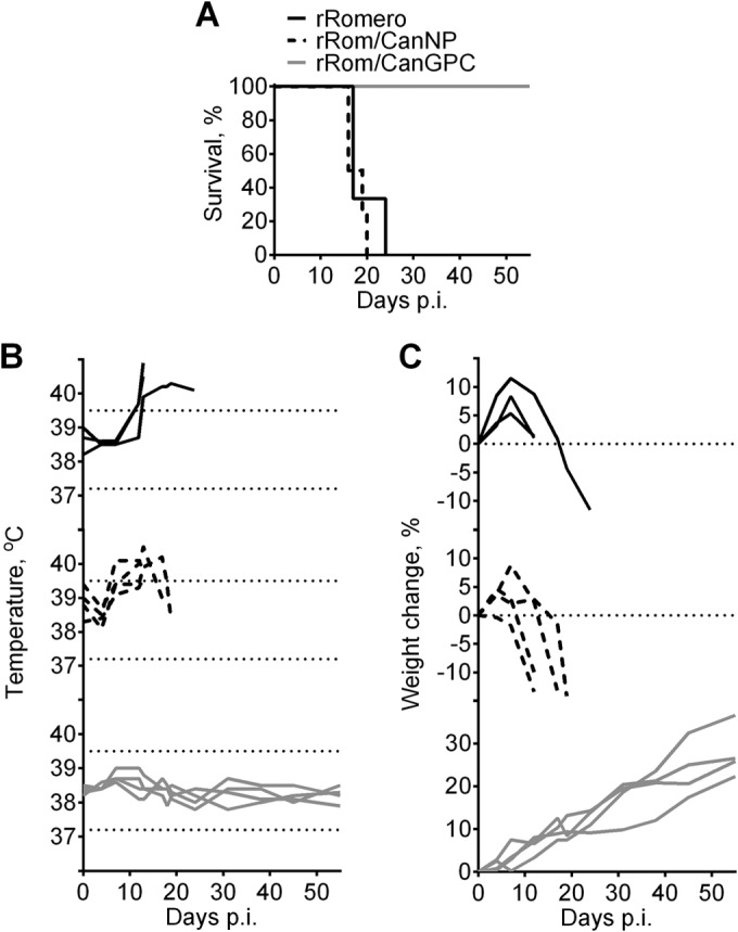 FIG 4