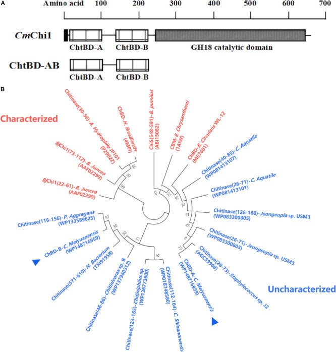 FIGURE 1