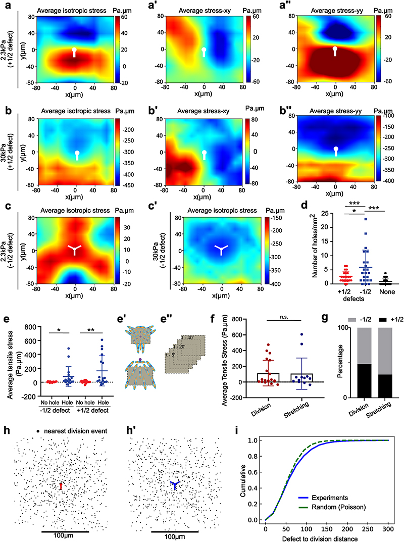 Extended Data Fig. 5