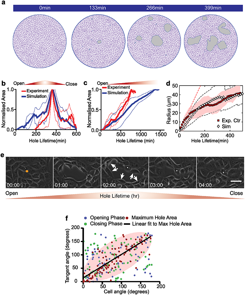 Extended Data Fig. 9