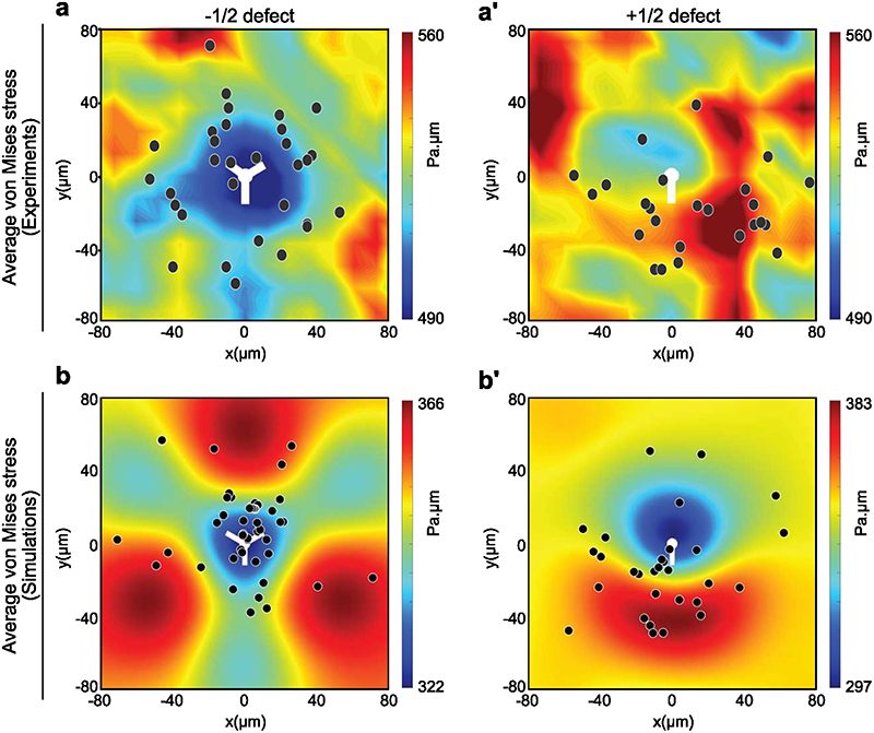 Extended Data Fig. 7