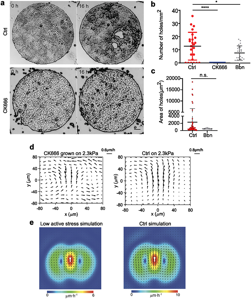 Extended Data Fig. 6