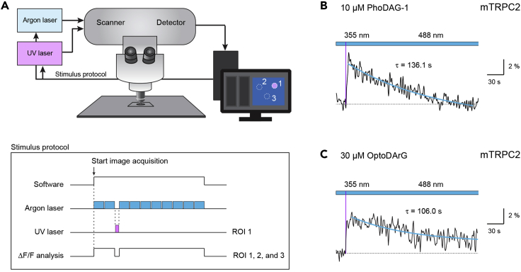 Figure 3