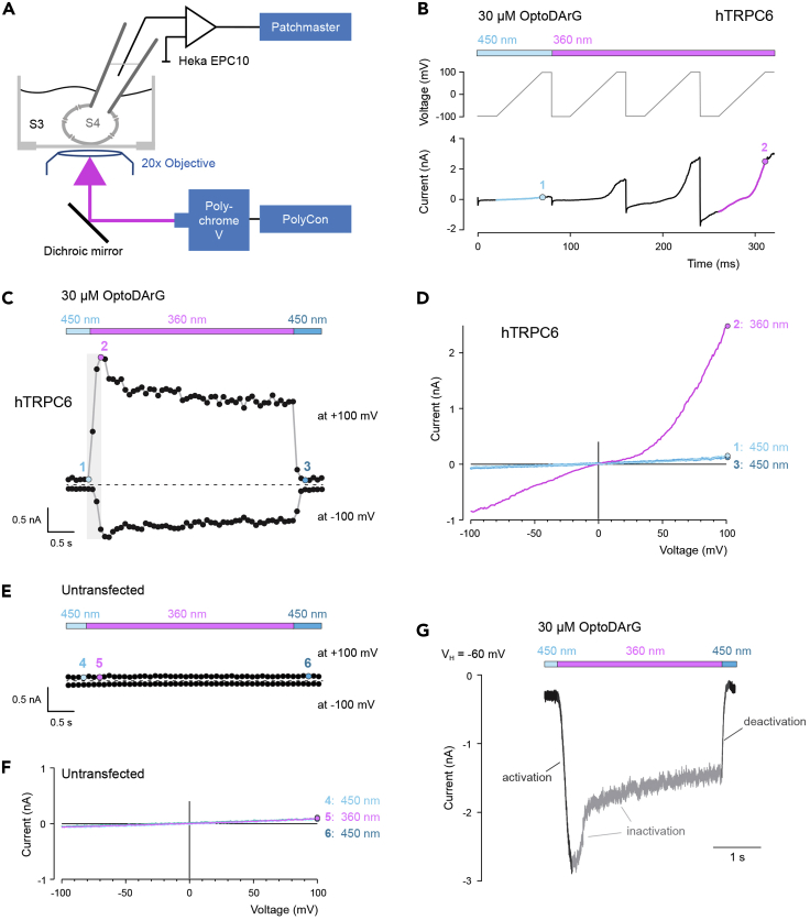 Figure 4