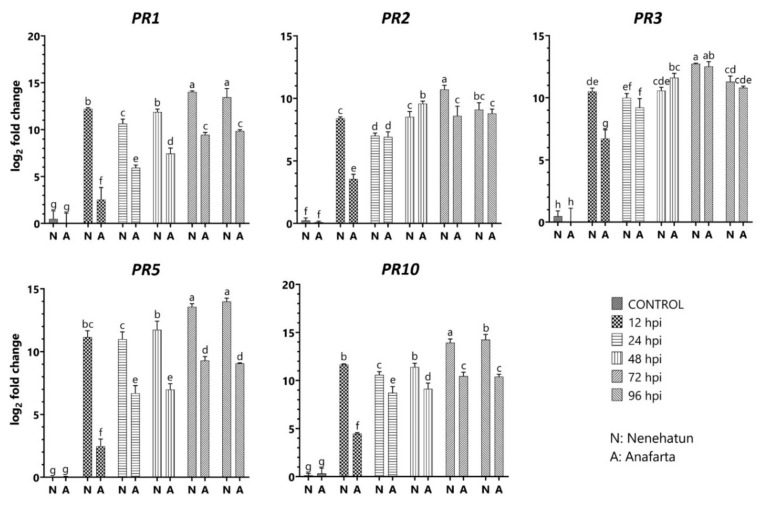 Figure 5