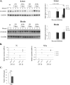 FIG 8