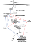 FIG 7