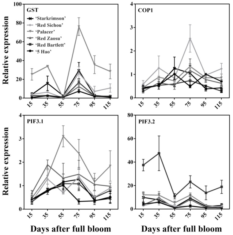 Figure 4