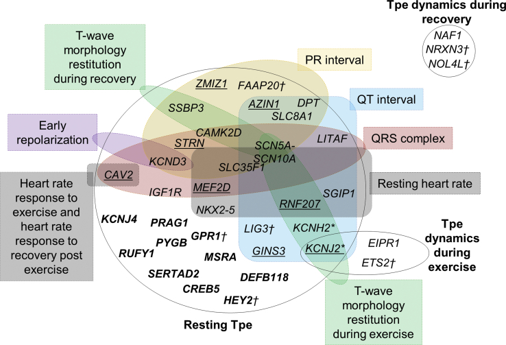 Figure 4