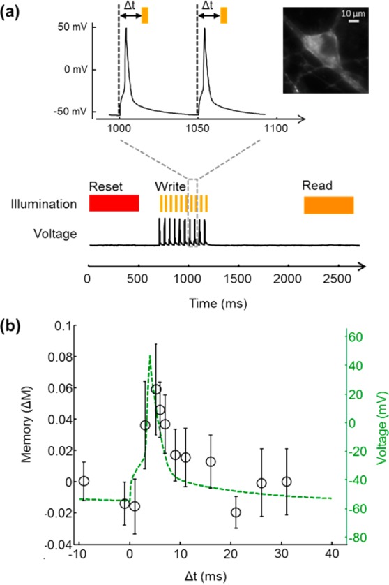 Figure 6