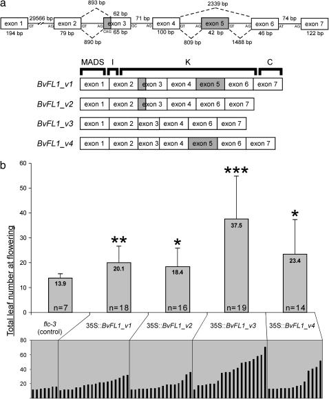 Figure 2.—