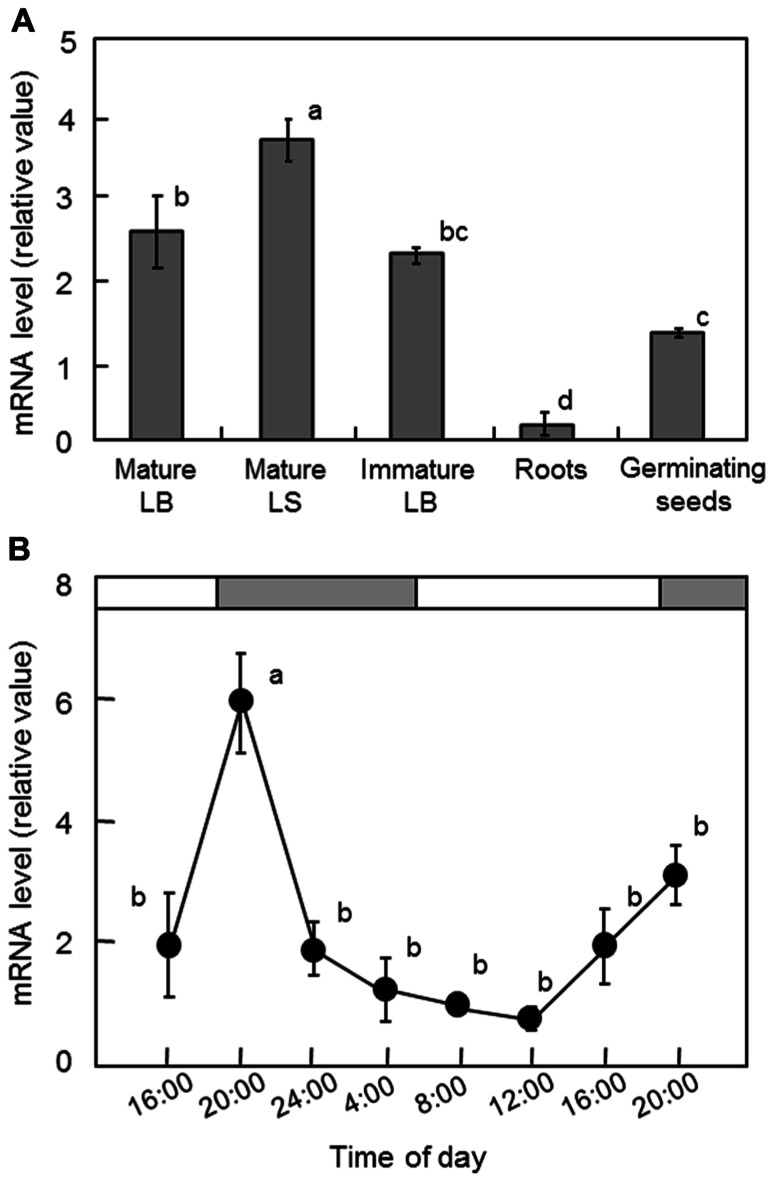 FIGURE 4