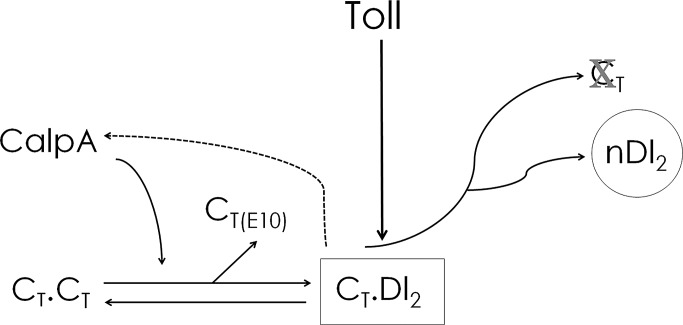 FIGURE 8: