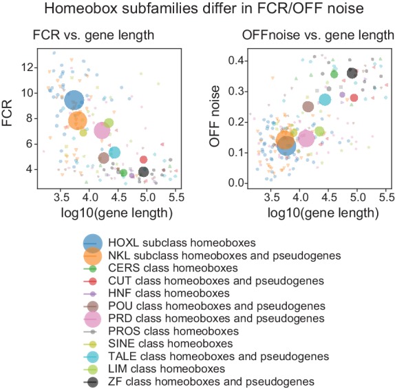 Figure 5—figure supplement 4.