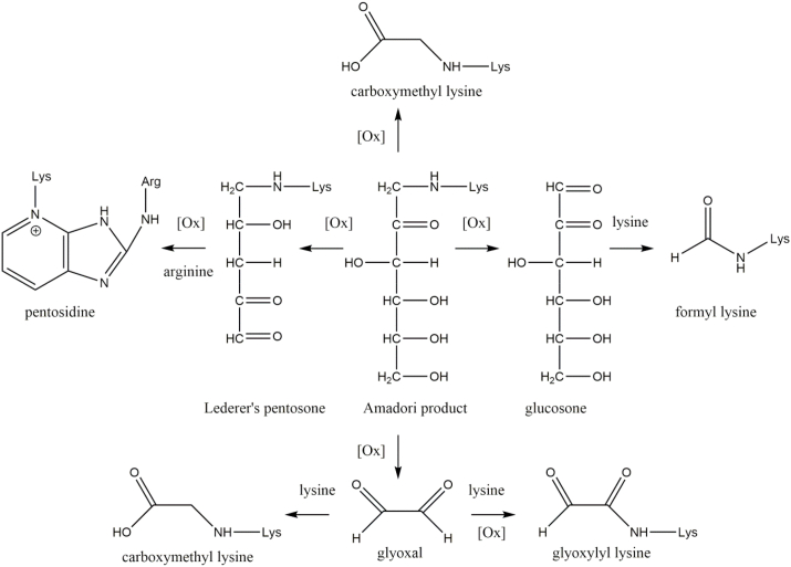 Fig. 3