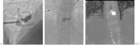 Figure 8