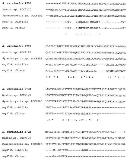 FIG. 4.