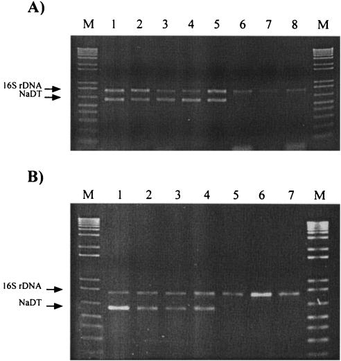 FIG. 5.