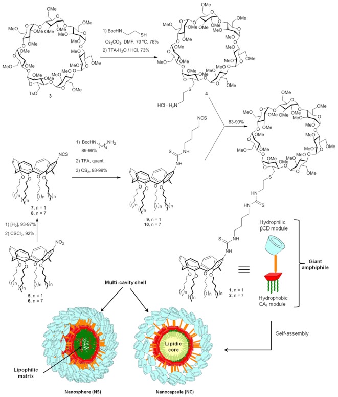 FIGURE 1