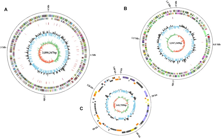 FIGURE 3