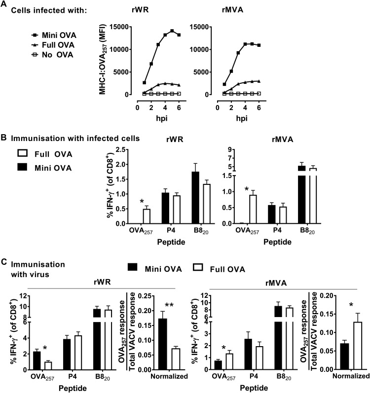 FIG 6