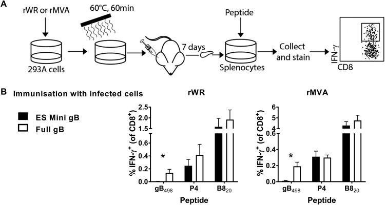 FIG 2