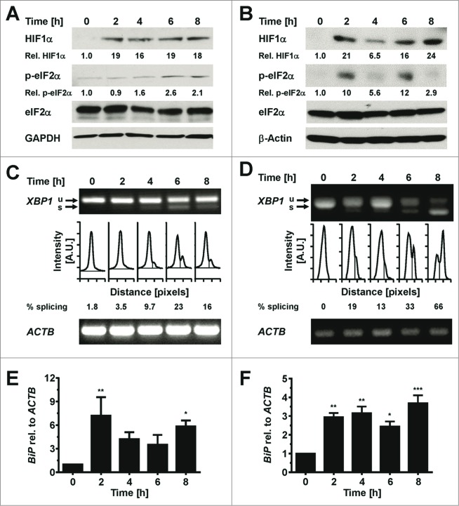 Figure 9.