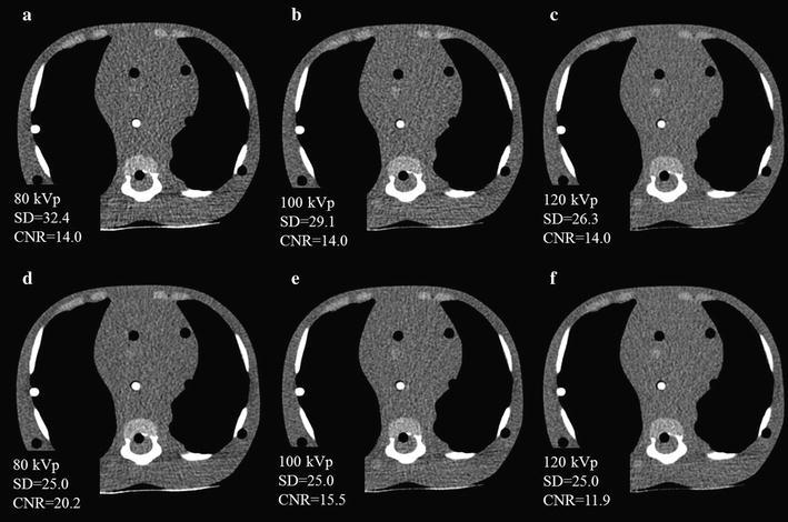 Fig. 6