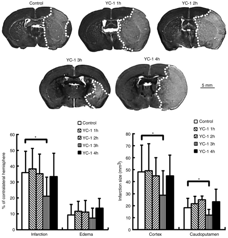 Figure 3.