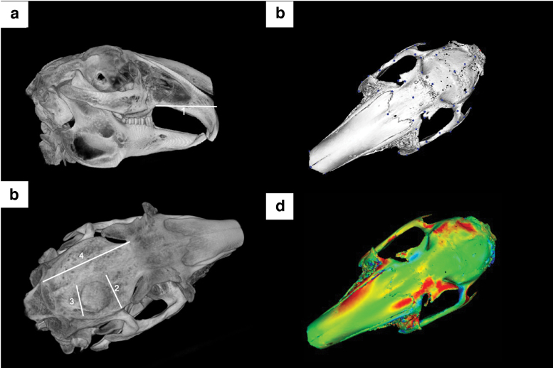 FIG. 5.