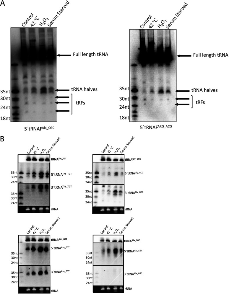 FIG 2